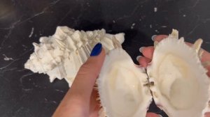 Сувениры по 1$ из Венесуэлы о. Маргарита. Что купили, цены и где лучше покупать