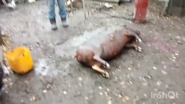 Как живут в русской деревне. Обычные деревенские дела/всё теже на манеже/уже меньше матюков... смотреть онлайн