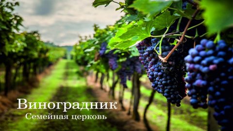 Служение церкви "Виноградник" г. Пермь