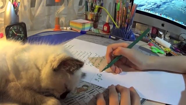 Биты, байты, килобайты (Информатика) смотреть онлайн