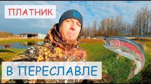 Платная рыбалка в Переславле-Залесском