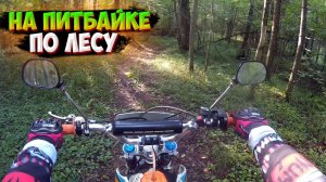 ОДИНОЧНАЯ ПОКАТУШКА на ПИТБАЙКЕ ПО ЛЕСУ |ДЕВУШКА|