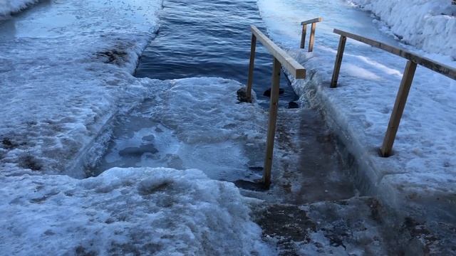 Моржей считают по весне