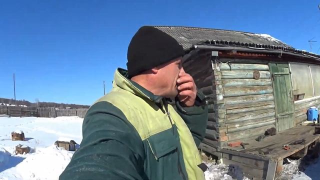 родились козлики ламанча.