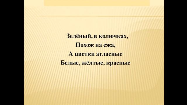 Занятие 1. Вводное занятие. Экологическая игра"Давайте познакомимся". смотреть онлайн