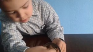 DIY : КАК СДЕЛАТЬ WI- FI РОУТЕР