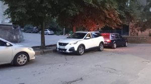 Park Assist на Peugeot 3008 или паркуемся без рук.