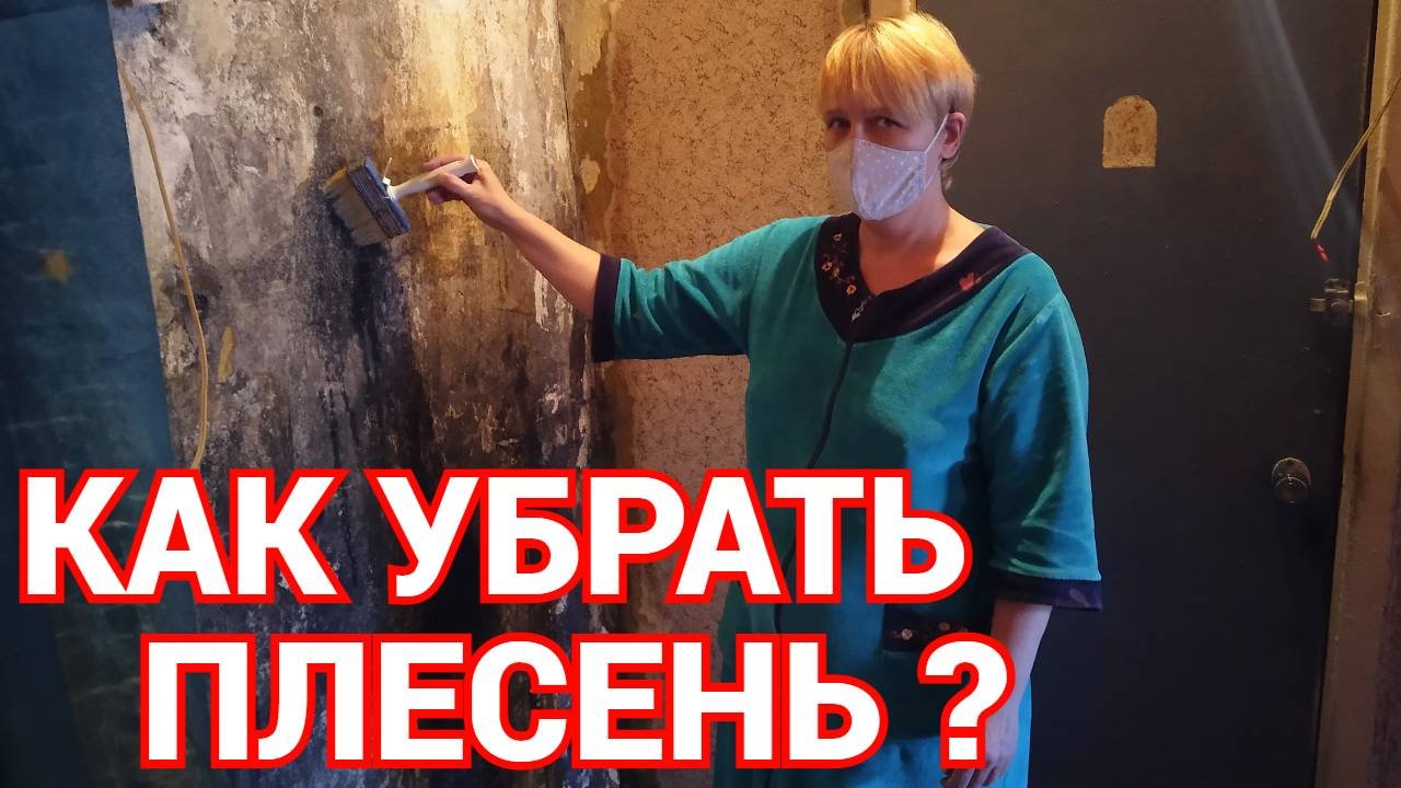 Как удалить плесень в домашних условиях ?.mp4