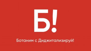 Запускаю новый проект. Ботаним с Диджитализируй! Читаем хорошие ИТ-книги вместе