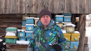 Зимовка пчёл 30 ЯНВАРЯ.mp4