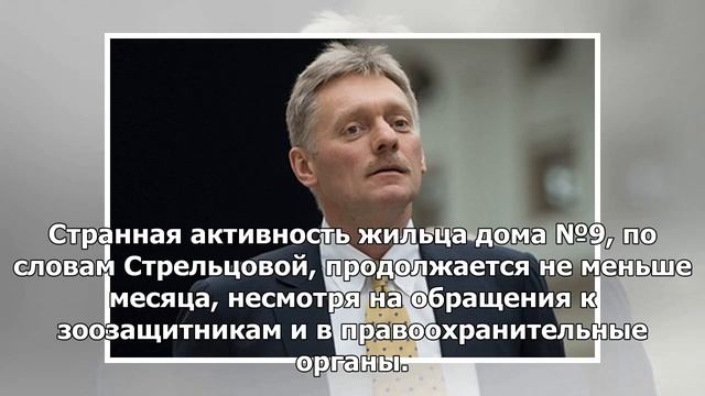 Россиянин рассердился на голубей и развесил мертвых птиц на фасаде дома смотреть онлайн