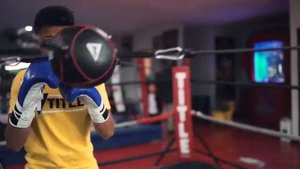 Груша на растяжках TITLE Spider Bag