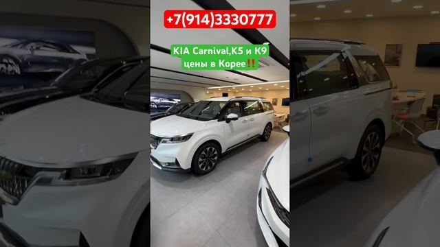 ‼️Цены на новые Kia Carnival, K5 и К9 у официального дилера в Корее  на 19.07.23г.‼️Отправка в РФ‼️