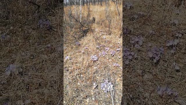 Поздравляю с праздником труда. смотреть онлайн