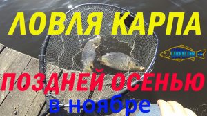 Рыбалка поздней осенью / Отличный клев карпа в ноябре на пруду Бражник Белгородской области