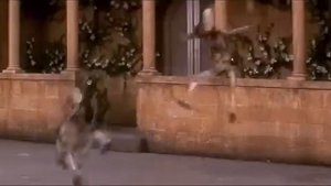 STARWARS-Буря в стакане