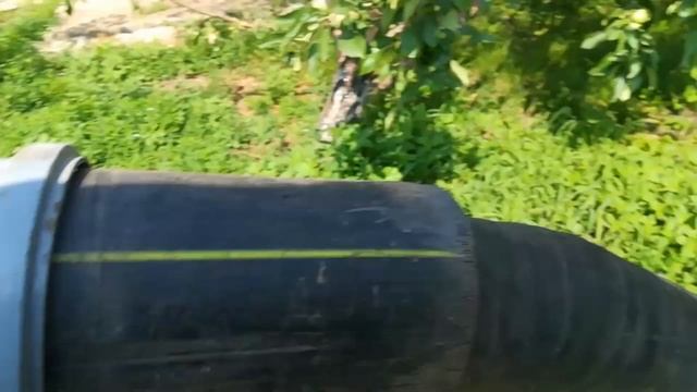 Откачиваю канализацию