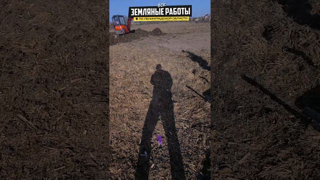 Секрет идеальной планировки СПБ #shorts #планировкаучастка