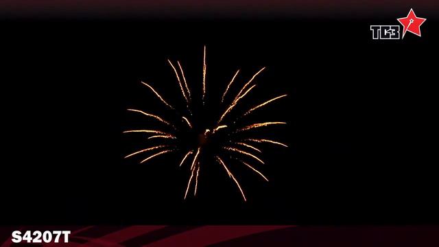 S4207Y смотреть онлайн