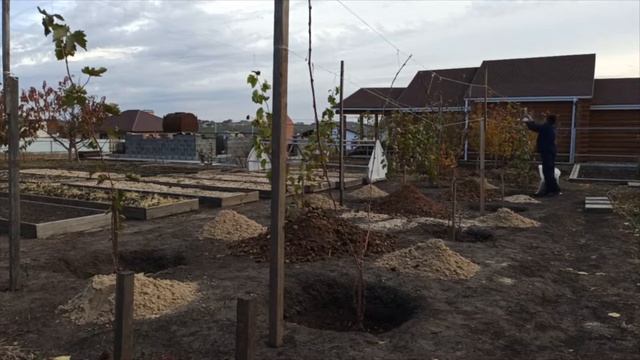 Уборка виноградника осенью. смотреть онлайн