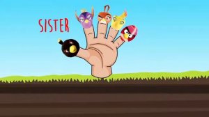 ANGRY BIRDS PLUSH TOYS FINGER FAMILY | ANGRY BIRDS MOVIE SURPRISE EGGS | KIDS RHYME BOX