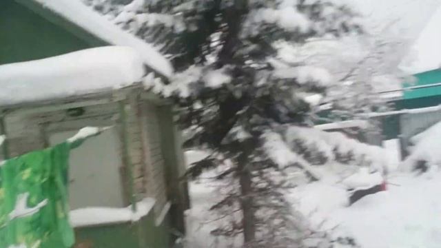 Сугробы, елки, леопардовый купальник