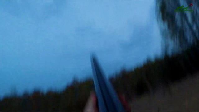 ОХОТА весной НА ТЯГЕ ВАЛЬДШНЕПА. УДАЧА УЛЫБНУЛАСЬ! смотреть онлайн