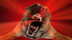 Angry Dog Barking Loud | Dog Barking Sounds