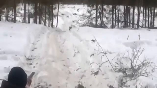 Прыколи 18 08 2015 смотреть онлайн