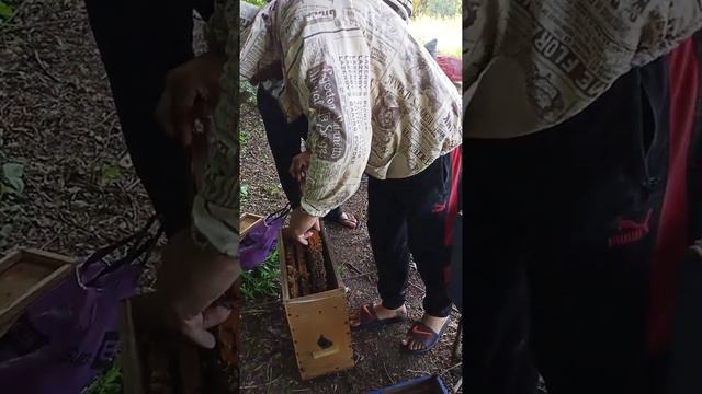 как сделать отводки в августе смотреть онлайн