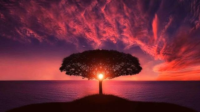 Исцеляющая музыка, снимающая напряжение в теле ? Медитация ?Музыка для снятия стресса