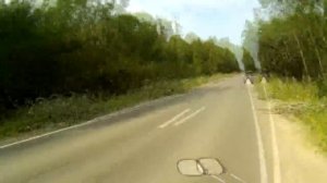 Трёхколёсный мотовелосипед c F-80 (Дырчик): съездил за дровами./Motorized trike bike