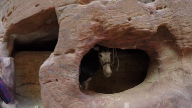 Petra Jordan HD GoPro 5 New Year 2017