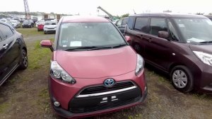 АВТОРЫНОК ЗЕЛЕНЫЙ УГОЛ? АКТУАЛЬНЫЕ ЦЕНЫ НА МИНИВЭНЫ ВО ВЛАДИВОСТОКЕ НА ИЮНЬ МЕСЯЦ. СРАВНЕНИЕ ЦЕН???