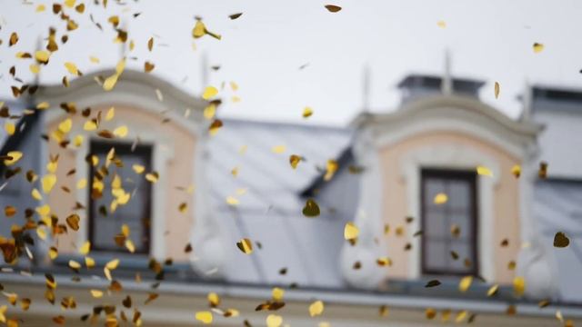 Свадьба в Летнем дворце. Выездная регистрация. Fantastic summer forest // Royal Wedding смотреть онлайн