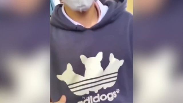 offensive memes that if ylyl v206 смотреть онлайн