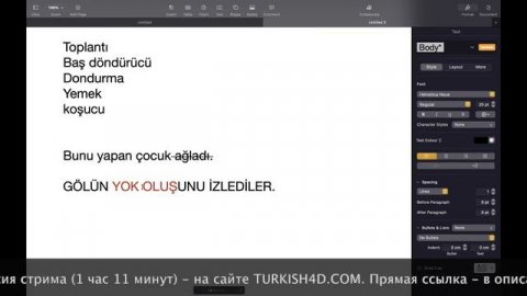 Глагольные Формы в Турецком языке - 1.