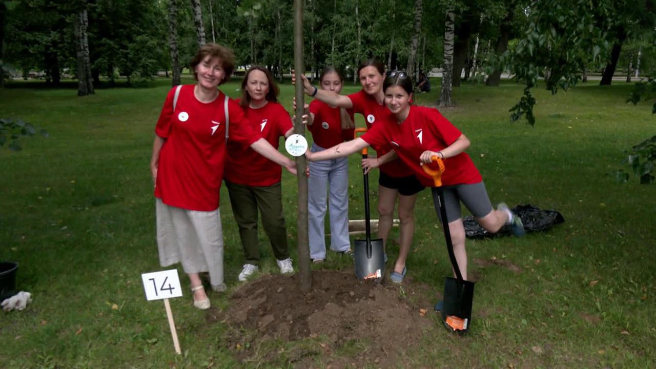 27 миллионов деревьев за год высадили в России в память о защитниках Отечества в годы ВОВ
