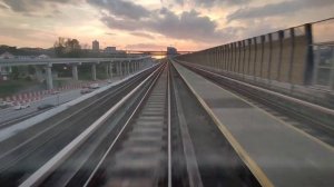 Грустная история про собаку до слез. Истории из Жизни