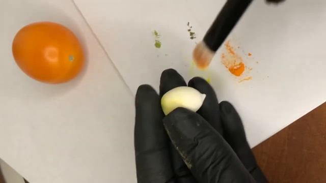 Помидор из полимерной глины смотреть онлайн