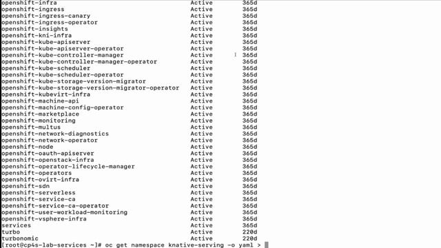 Cloud Pak for Security: Troubleshooting namespace issue