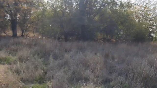 Забытые деревни Краснодарский край