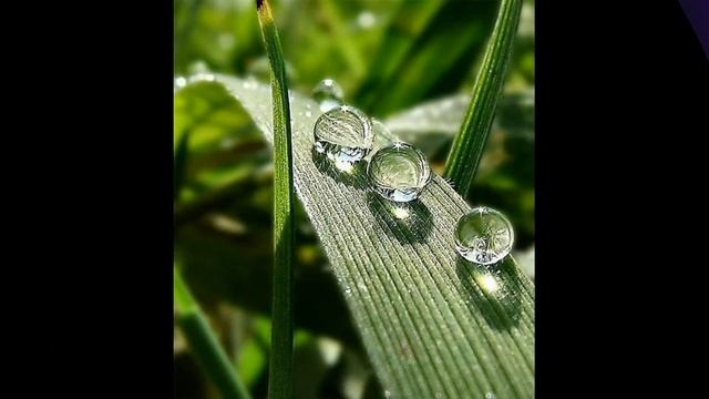 Не снятся мне цветные сны Стихи Владимир Гуляев (г. Барнаул), музыка и исполнение Стас Пенявский смотреть онлайн