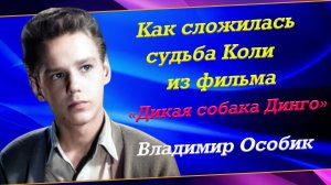 Яркая роль в картине «Дикая собака Динго» и единственная любовь актера Владимира Особика