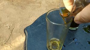 Бобы тонка. Правда и вымысел или "Я тебе ссу в глаза, а тебе всë божья роса"