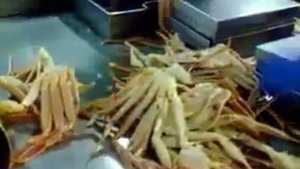 ДОБЫЧА И ОБРАБОТКА КРАБА В МОРЕ