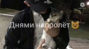 крылья меня несут к тебе все very good'😻✌️#temnota love Атмосфера души новая цыганская песня 2022г