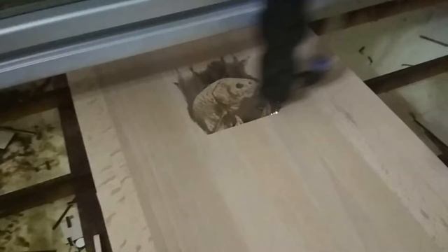 Гравировка 5. Своими руками. Нанесение гравировки на дерево.