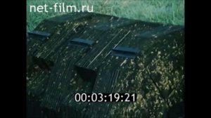 ВНИИПРХ времен СССР. Новые технологии для прудового рыбоводства