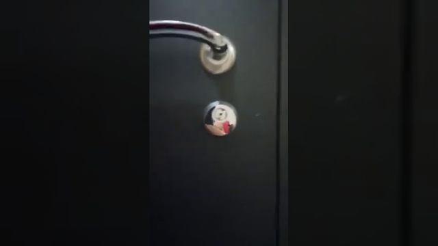 Дверь входная Металюкс М200 смотреть онлайн